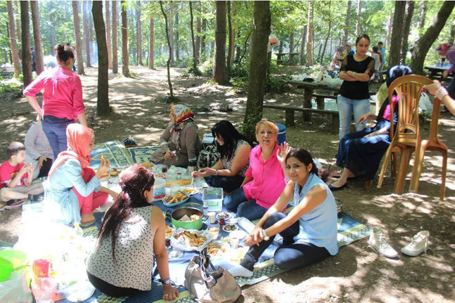 piknik (2)