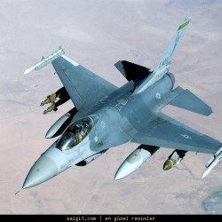 raptor_1