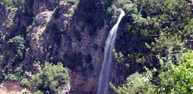 ORTA1(114)