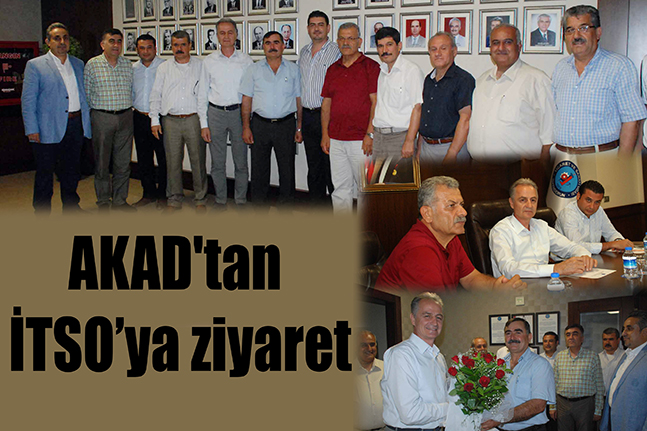 orta hazır