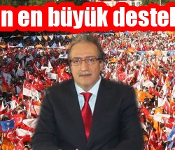 sıte copy