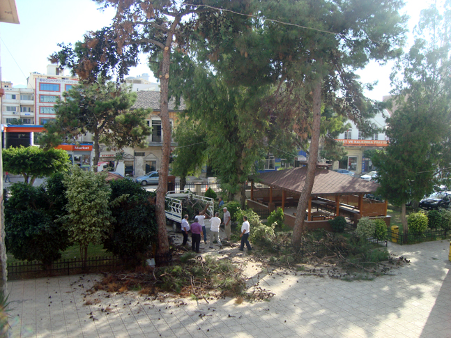 DSC00030