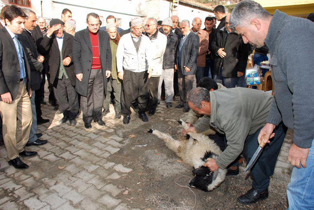 Ergin, Köy Gezi Resimleri (4)