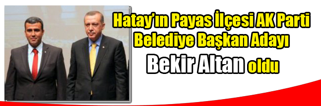 sıte ıcın copy