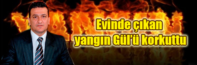 sıte ıcın copy