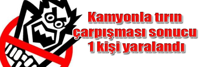 sıte ıcın copy