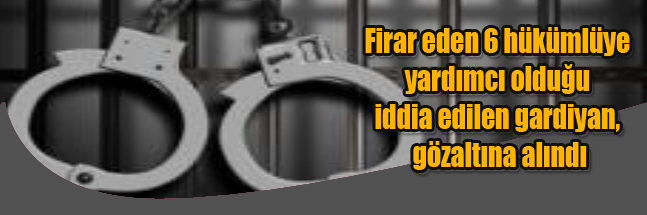 sıte ıcın copy
