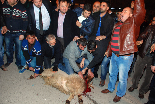 Antakya Öğretmenevi top (5)