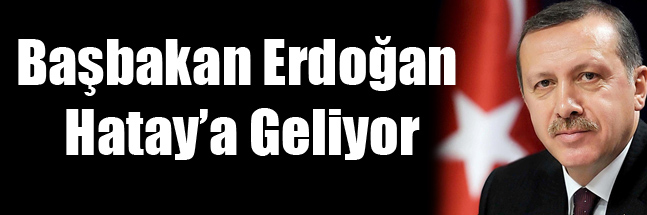 sıte ıcın copy