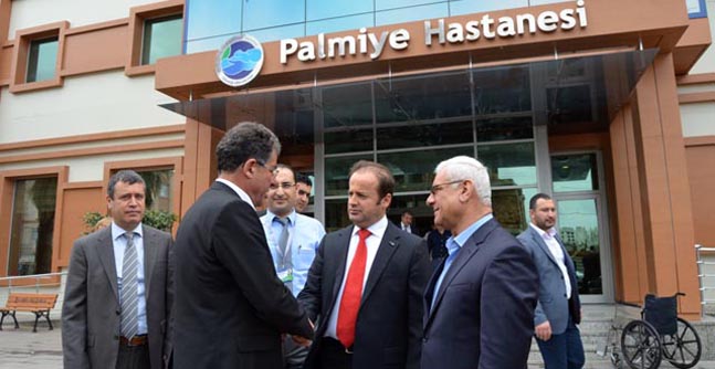 civelek-palmiye2