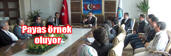 sıte ıcın copy