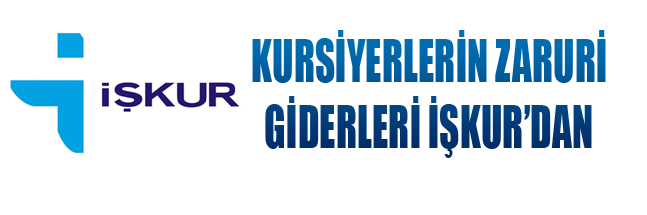 sıte ıcın copy copy