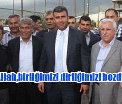 sıte ıcın