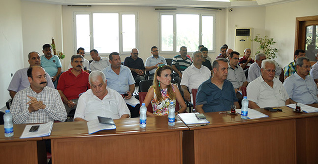 culha1(2)