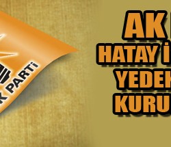 sıte copy
