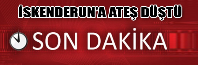 sıte copy