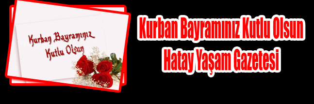 sıte copy