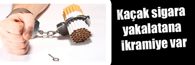 sıte copy