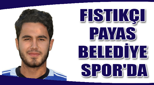 sıte copy