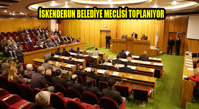 sıte copy