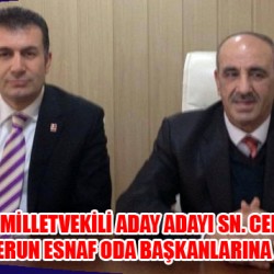 sıte copy