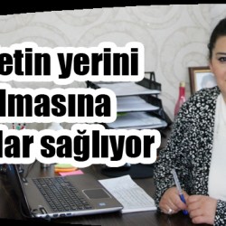 sıte copy