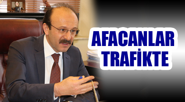 sıte ıcın