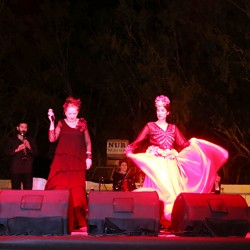 IMG_8214