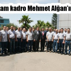 sıte ıcın