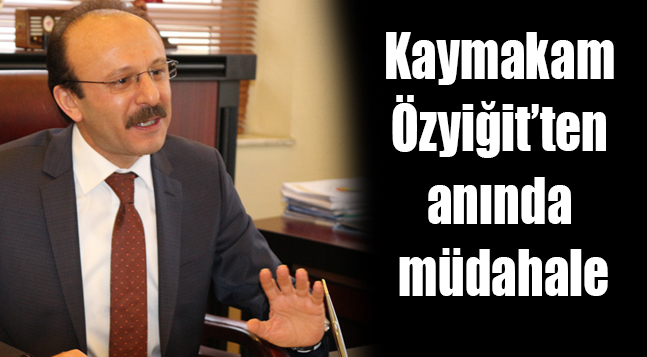 sıte ıcın