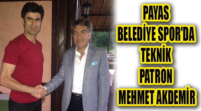 sıte ıcın