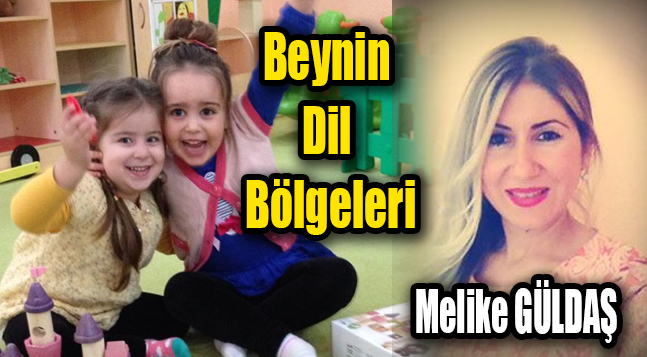 sıte ıcın