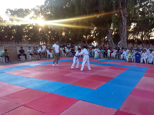 judo