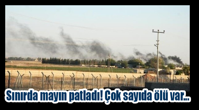 sıte ıcın