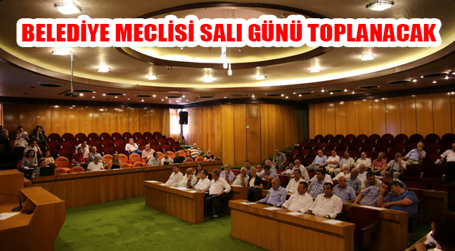 sıte ıcın