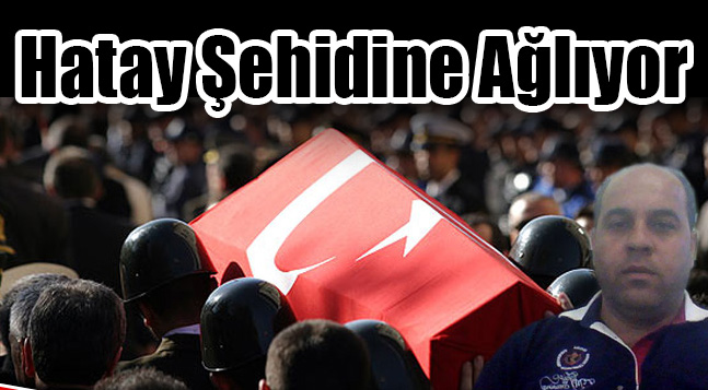 sıte ıcın