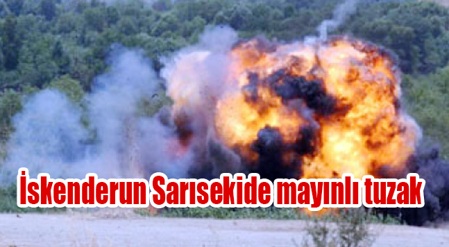 sıte ıcın