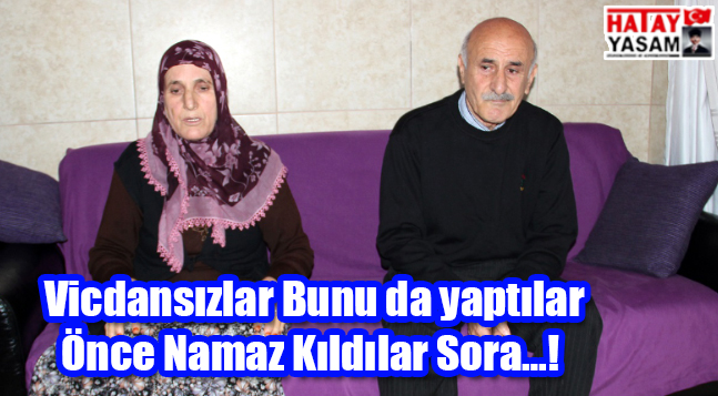 sıte ıcın