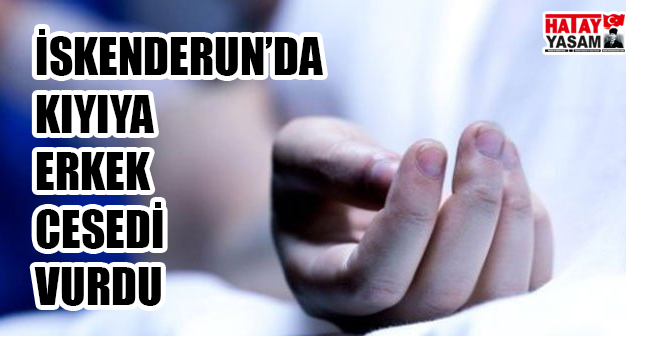 sıte ıcın