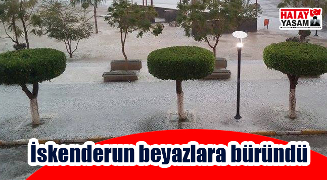 sıte ıcın