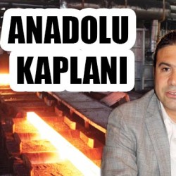 sıte-ıcın-24