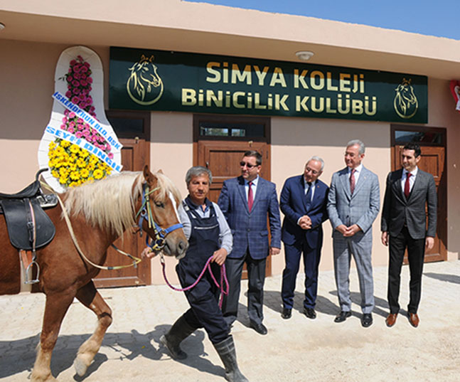 tosyali simya7