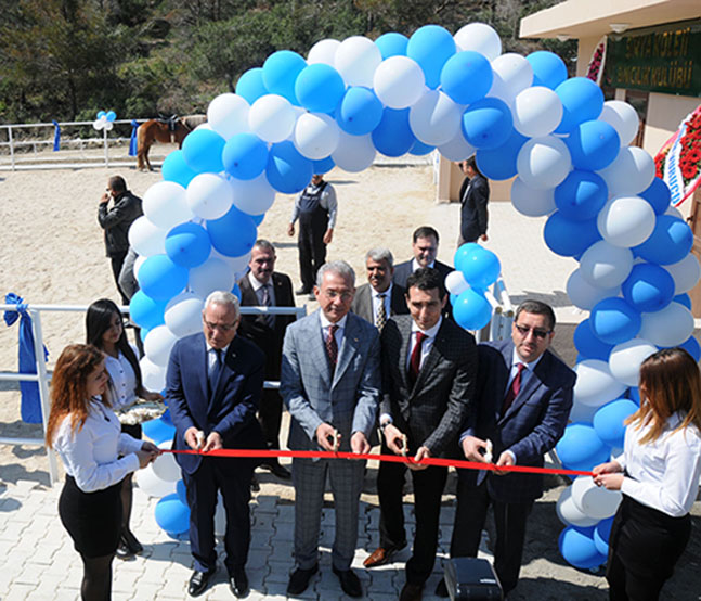 tosyali simya9