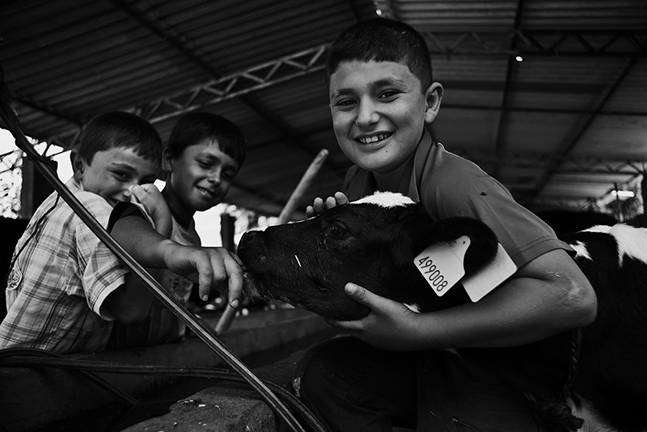İkincilik elde eden fotoğraf - Mustafa Kara