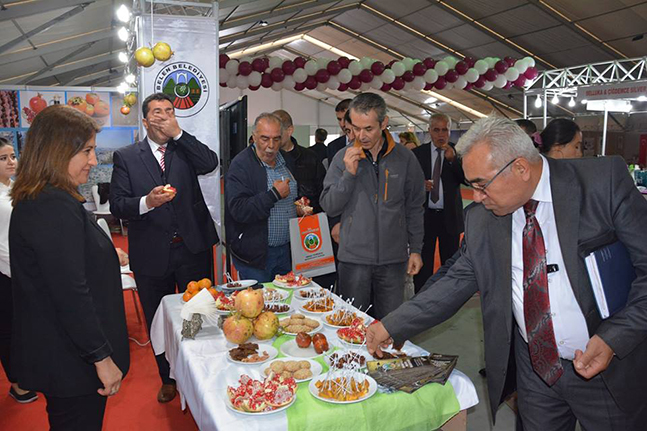 belen-hatay-guleri-yei-kpi-ist-3