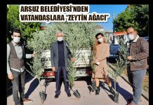 ARSUZ BELEDİYESİ’NDEN VATANDAŞLARA “ZEYTİN AĞACI”
