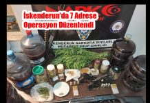 İskenderun’da 7 Adrese Operasyon Düzenlendi