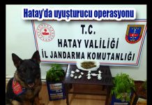Hatay’da uyuşturucu operasyonu