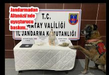 Jandarmadan Altınözü’nde uyuşturucu baskını…