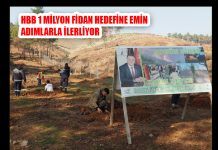 HBB 1 MİLYON FİDAN HEDEFİNE EMİN ADIMLARLA İLERLİYOR